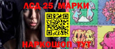 Альфа ПВП Краснознаменск