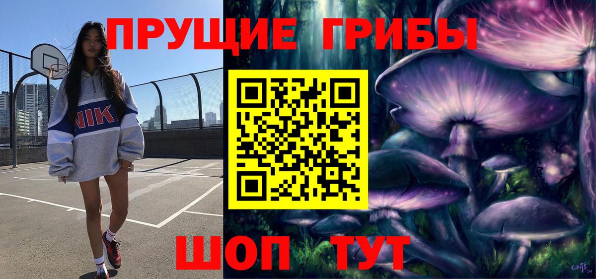 Гусев  Псилоцибиновые грибы Psilocybine cubensis  Вход с VPN 